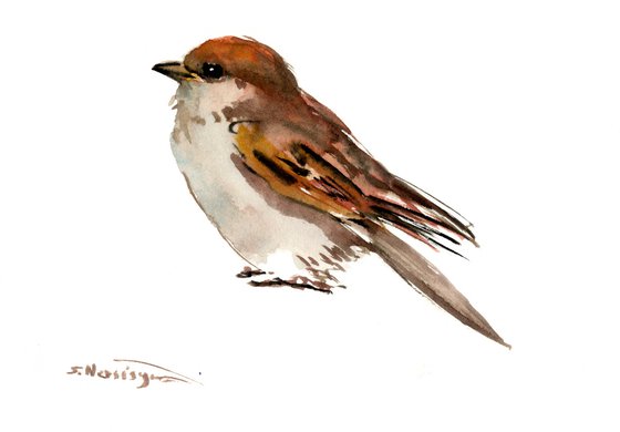 Sparrow Bird artwork