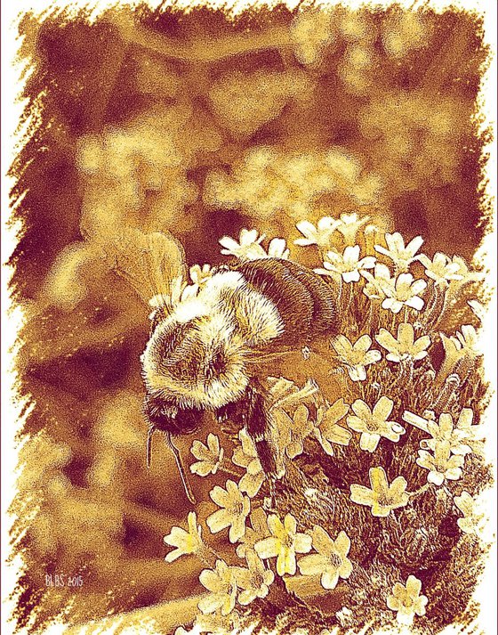 Honey Bumble Bee