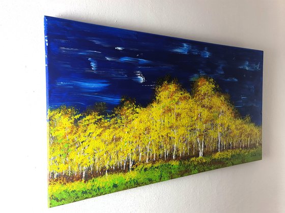 Autumn birch forest