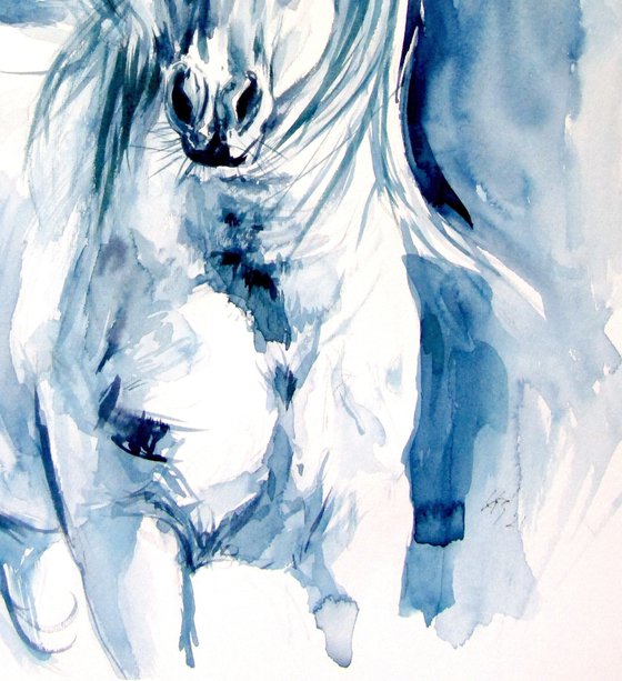 Majestic horse running II