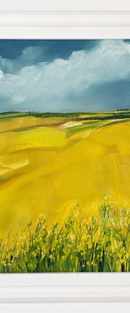 In the Wake of Yellow by Arti Chauhan