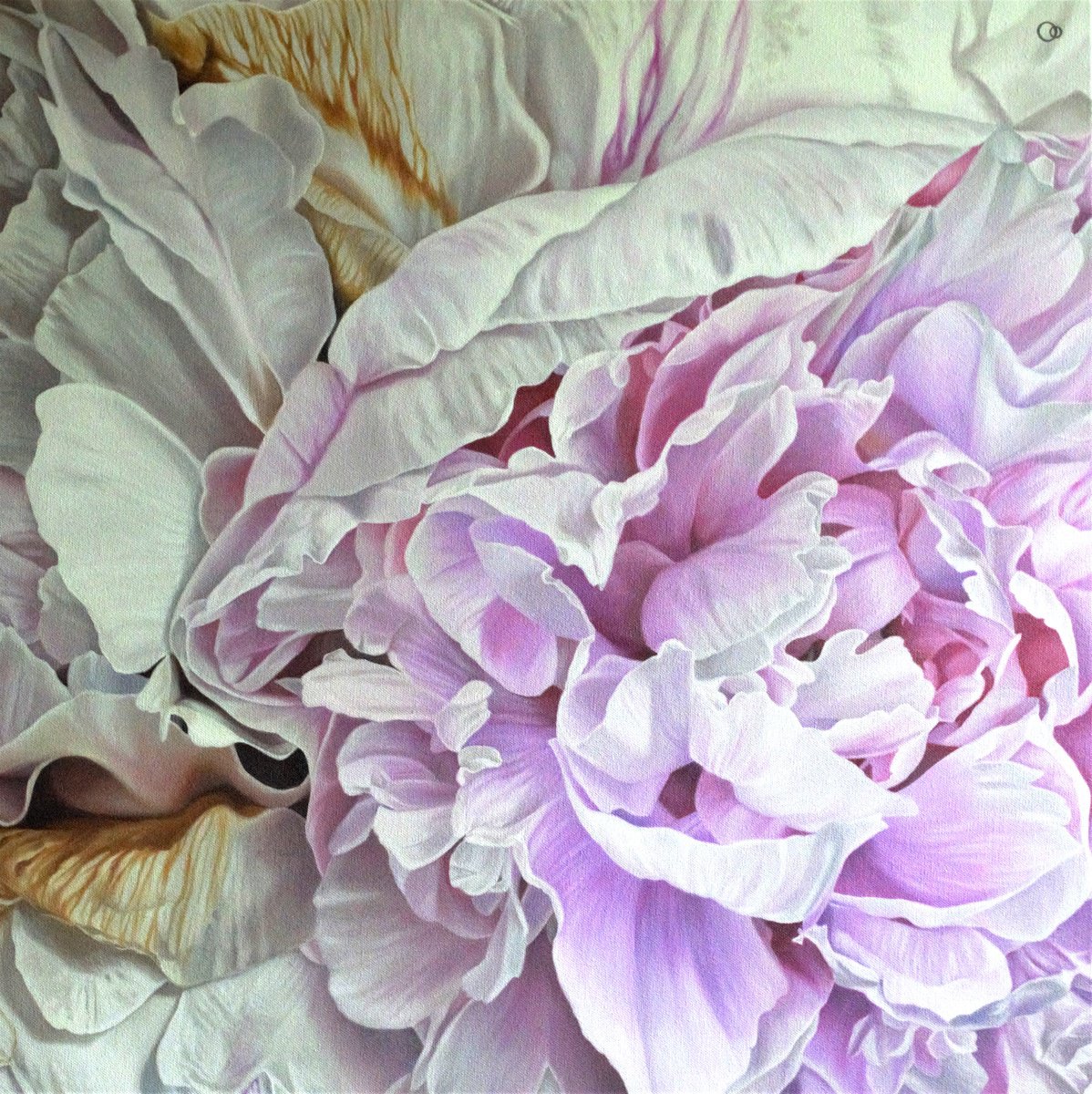 Momentary Bliss - Close-up Peony Flower Painting by Veronique Oodian