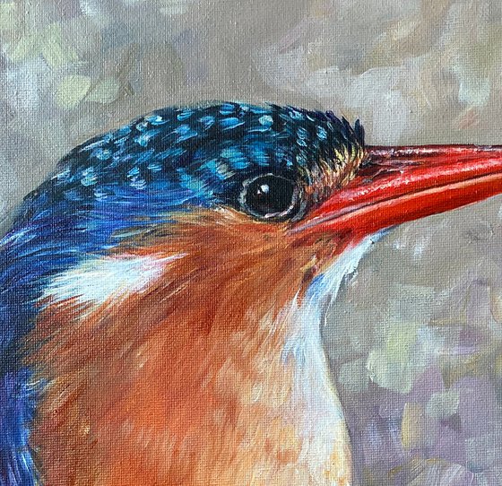 Malachi the Kingfisher