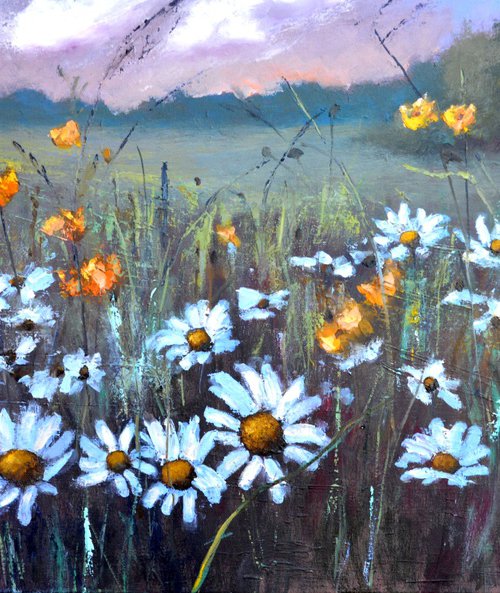 Chamomile  field by Elena Lukina