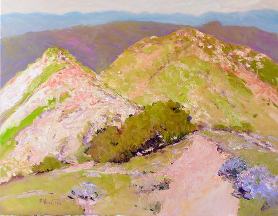 Mountains in South California