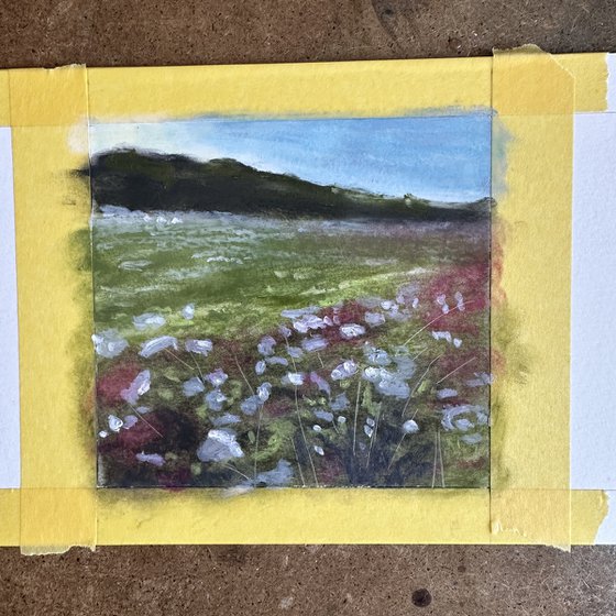 Edge of the Meadow