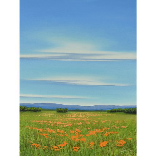 Blue Sky Poppy Field - Flower Field Landscape by Suzanne Vaughan