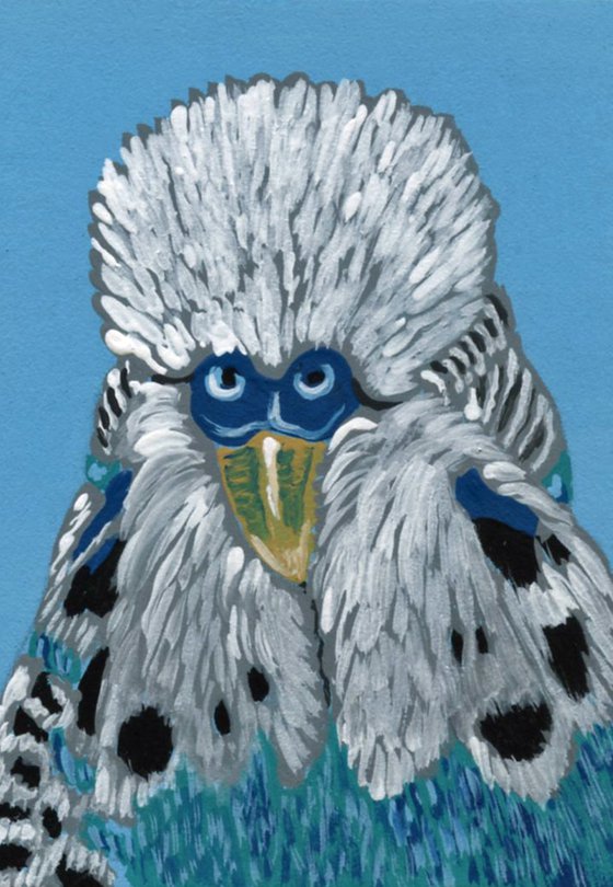 ACEO ATC Original Miniature Painting English Parakeet Budgie Bird Pet Art-Carla Smale