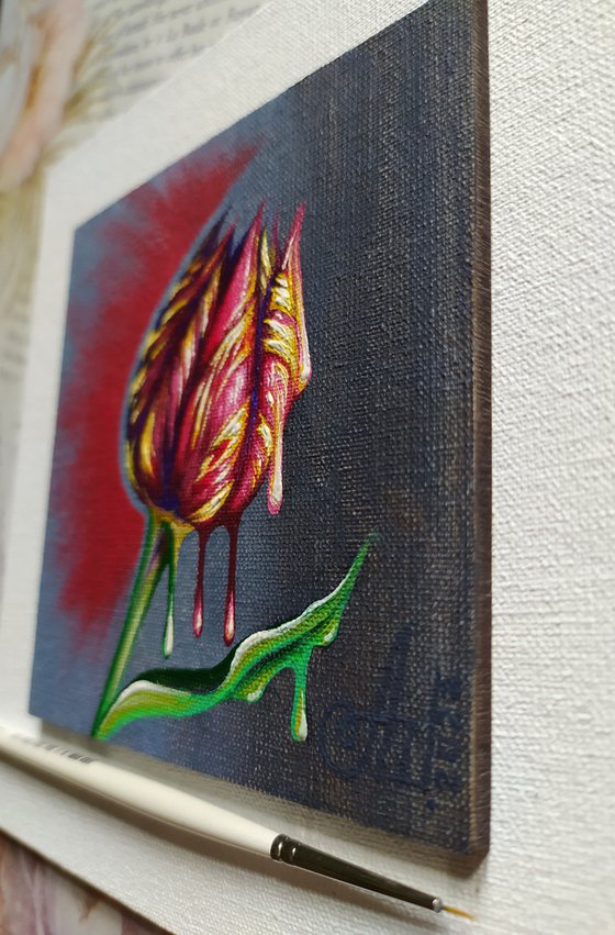 Tulip (passion)