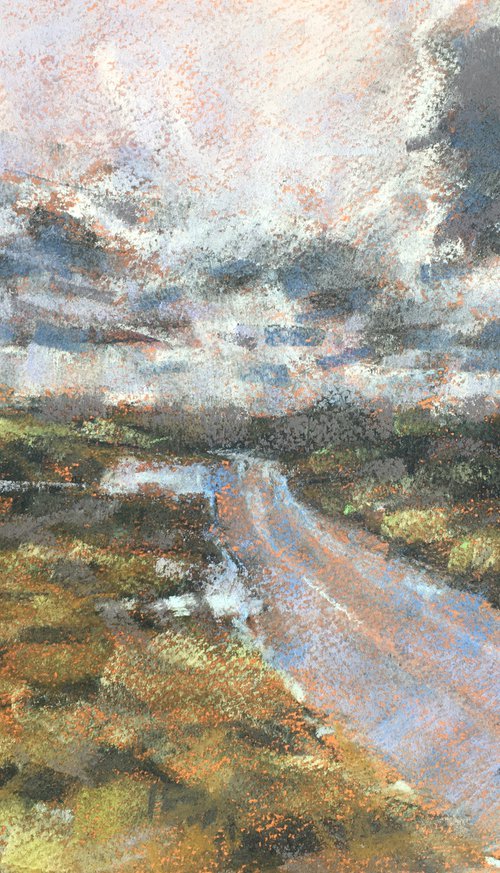 Lonely road Bodmin Moor by Louise Gillard
