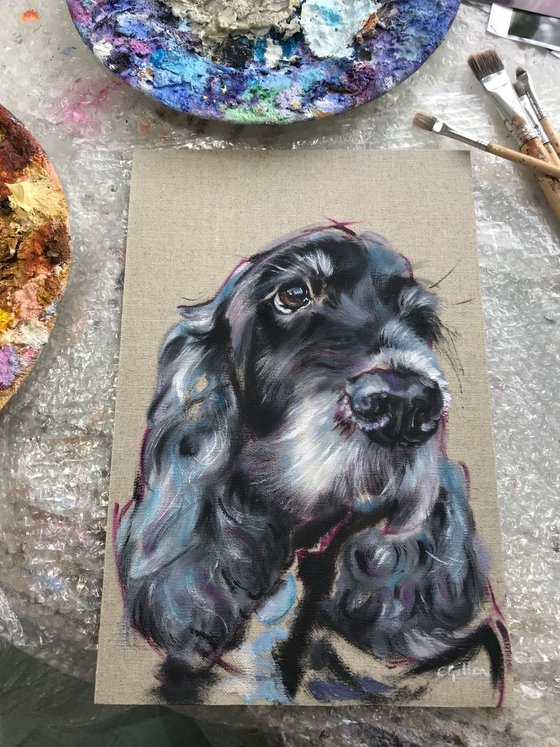 Blue - Cocker Spaniel original oil painting 12x8"