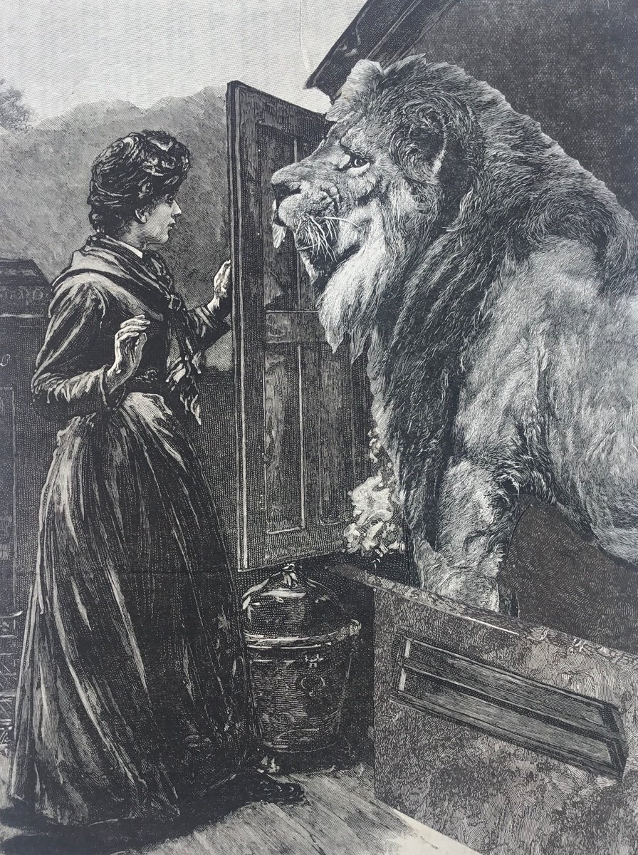 Surrealistic Portrait Collage By Tudor Evans, 6 X 9", Wardrobe Lion Dream, Original Artwork