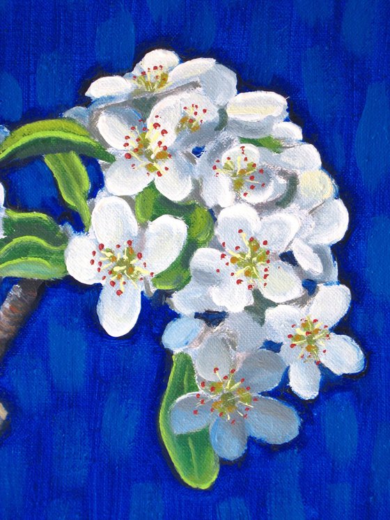 Stem of Flowering Pear