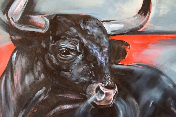 Bull -  devil sweeper