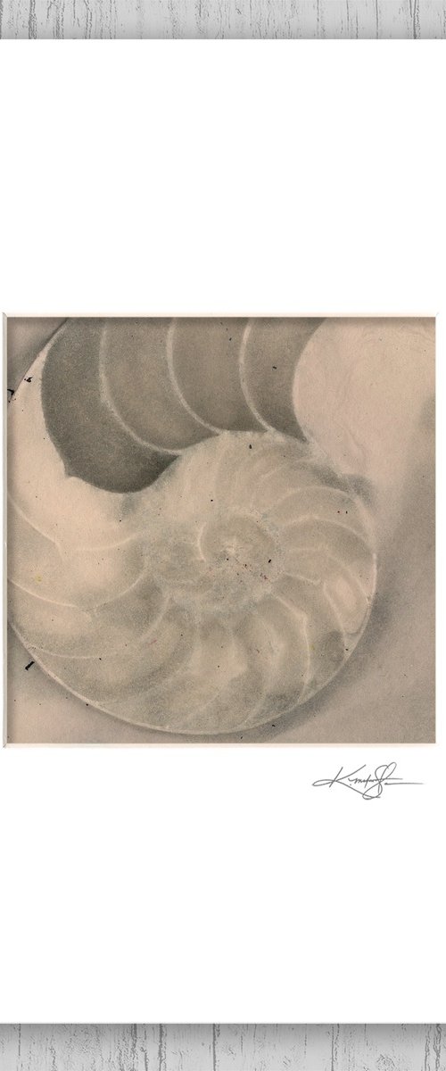 Nautilus Shell 509 by Kathy Morton Stanion
