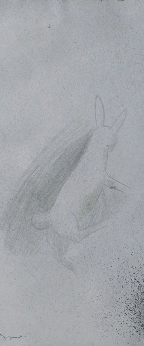 Easter Bunny 4, pencil drawing 21x29 cm - FREE SHIPPING by Frederic Belaubre