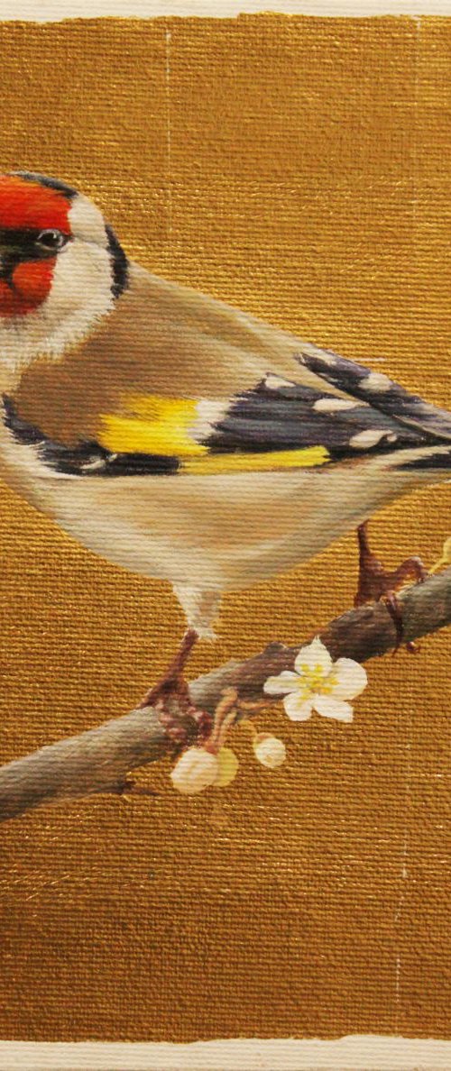 goldfinch by Julia Diven