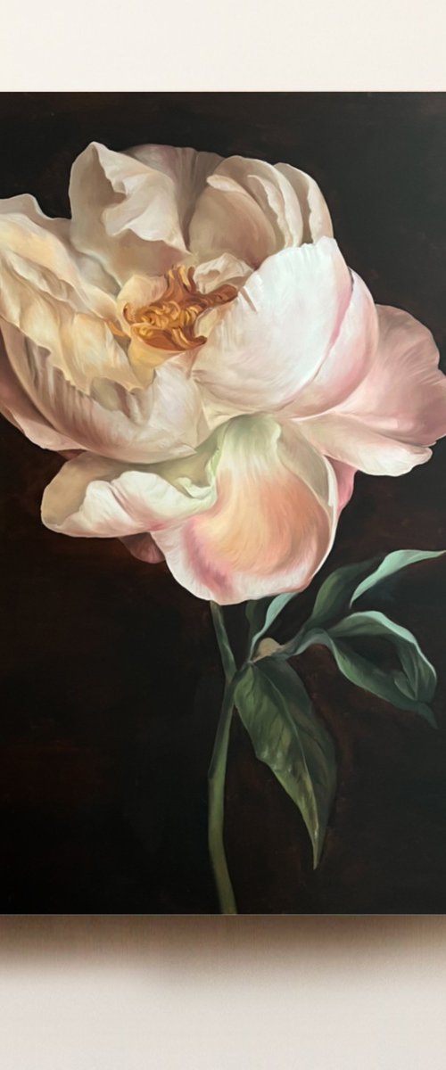 Old Holland flower 6 by Rosi Roys