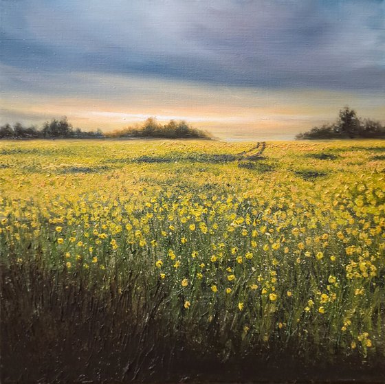 Fields of Gold