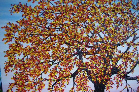 Oak tree in Autumn and Winter