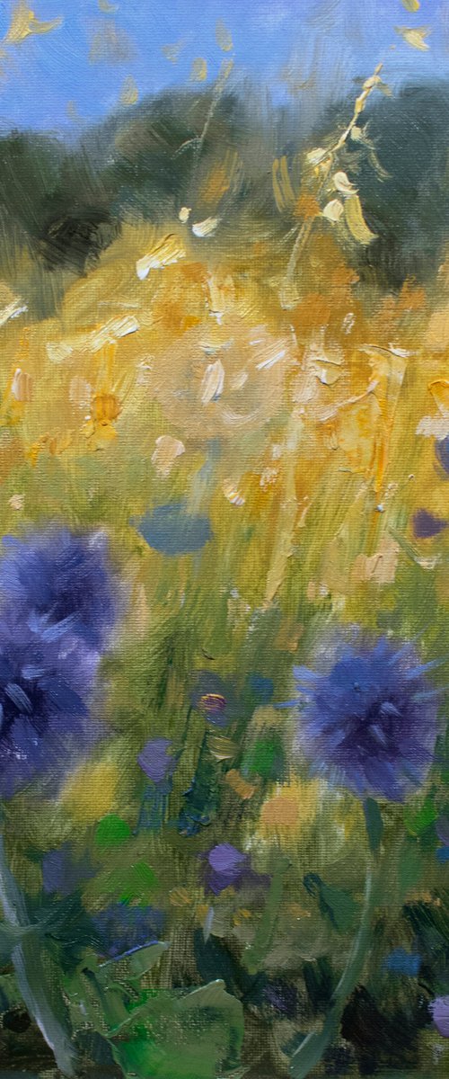 Impressionism, Echinops Globe Thistles against yellow grasses by Gav Banns