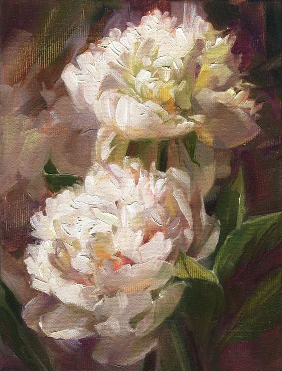 Two white peonies