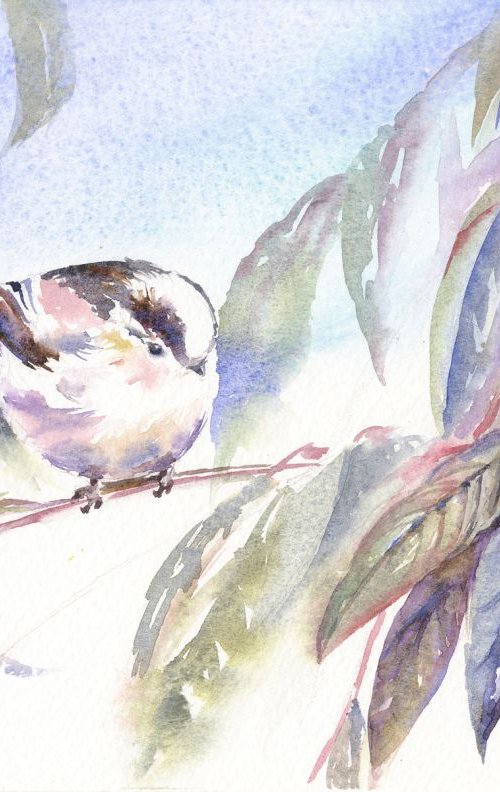 Long tailed tit by Anjana Cawdell