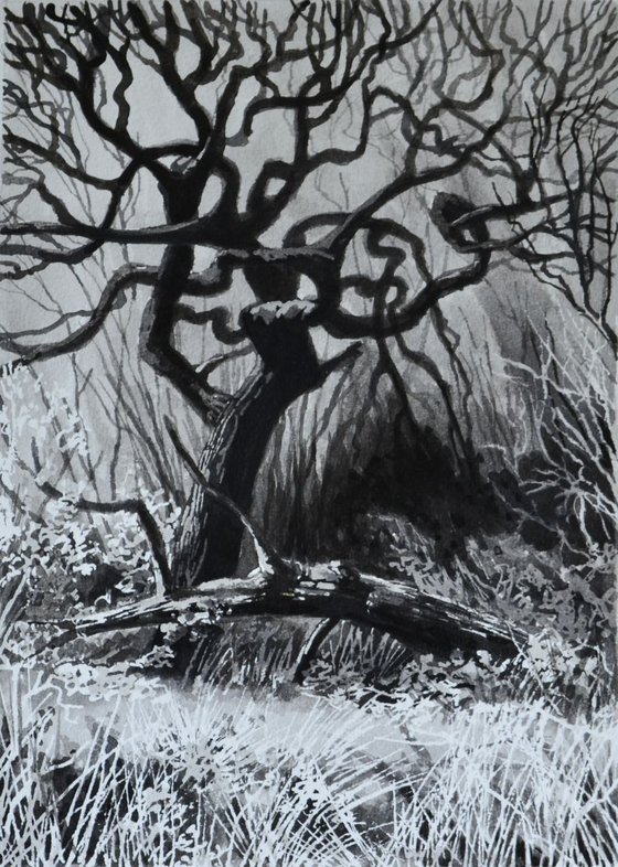 Ink Tree III