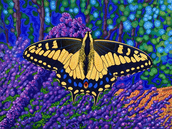 Anise Swallowtail