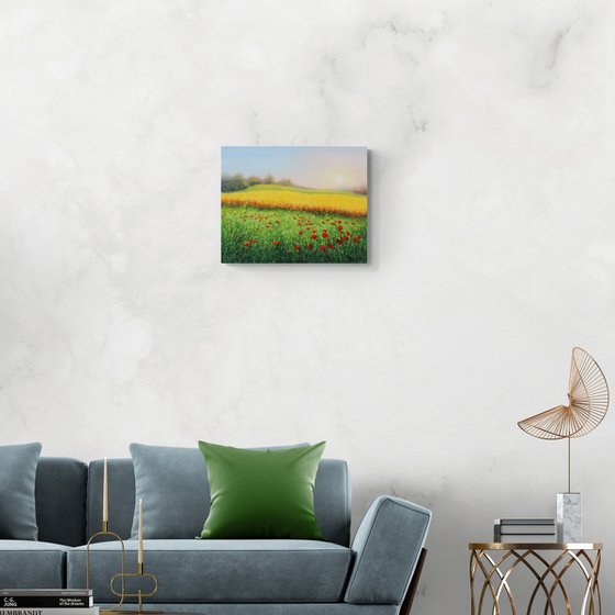Wheat field in summer