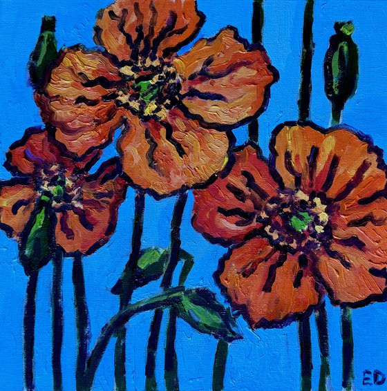 Poppy flowers