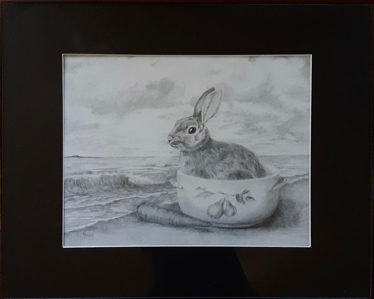 Captain Bunny by Grace Diehl