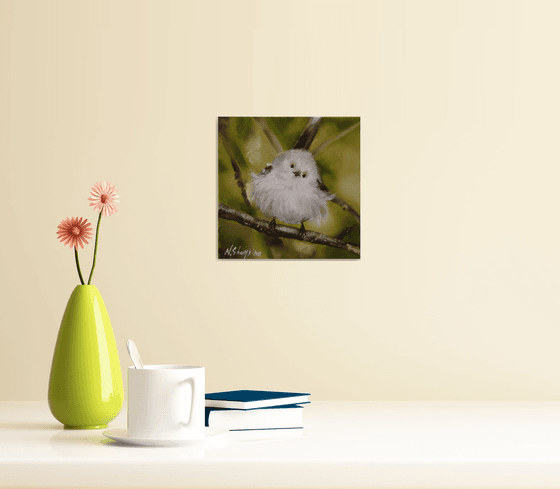 Fluffy white bird