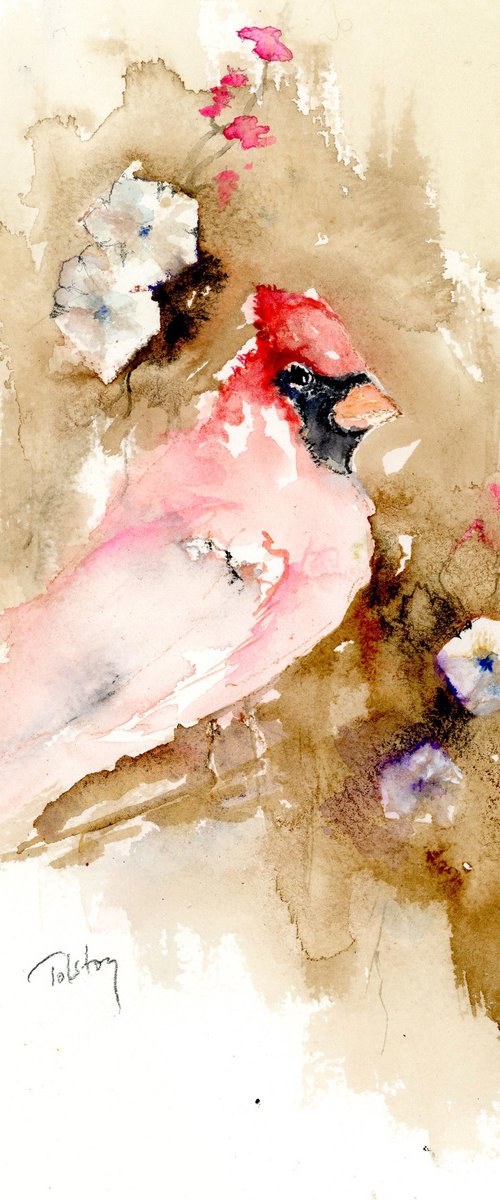 Cardinal and Bindweed by Alex Tolstoy