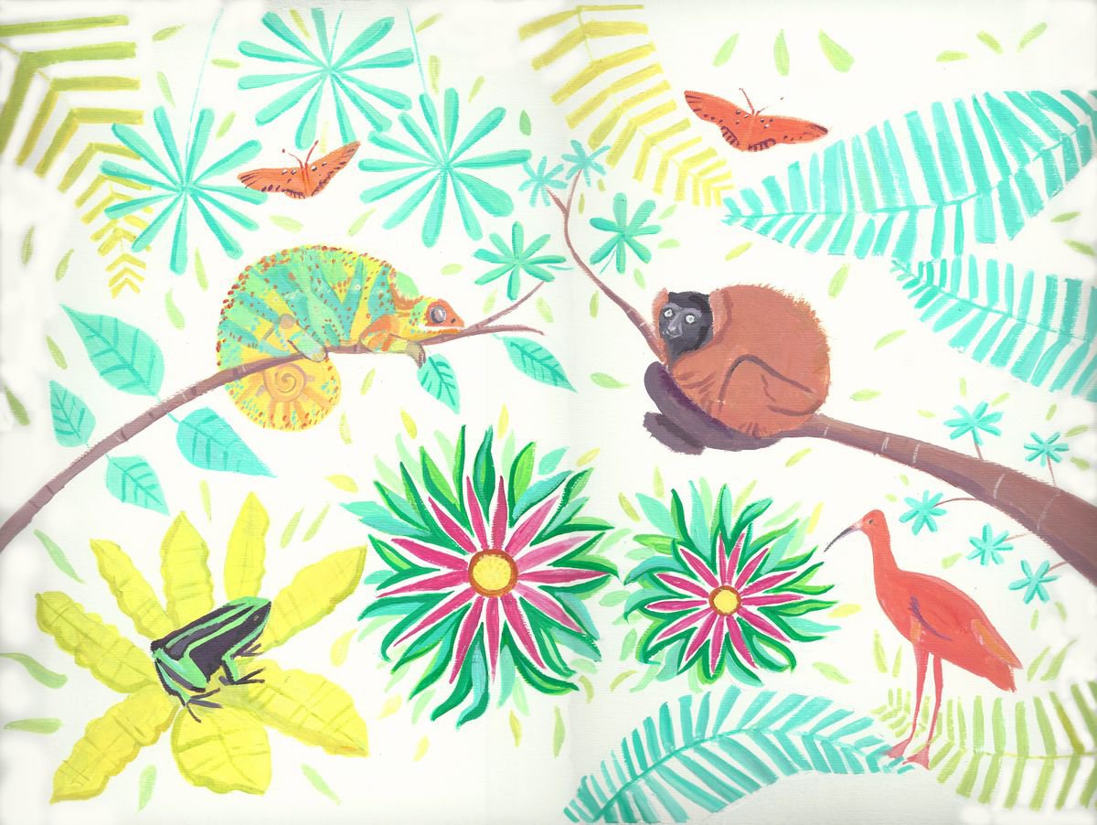 Tropical wildfife by Mary Stubberfield