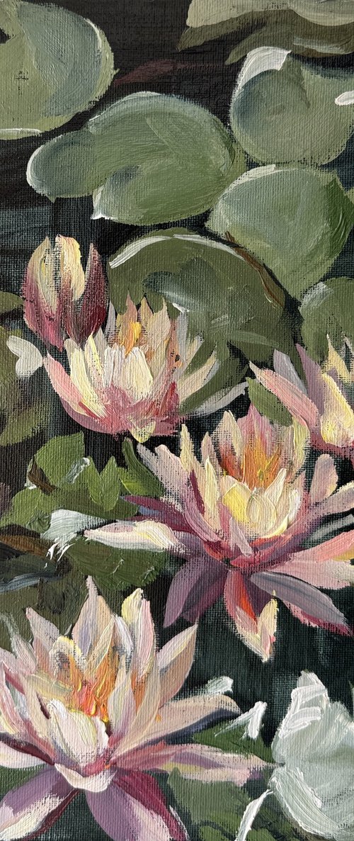Lotus by Olena Hromova