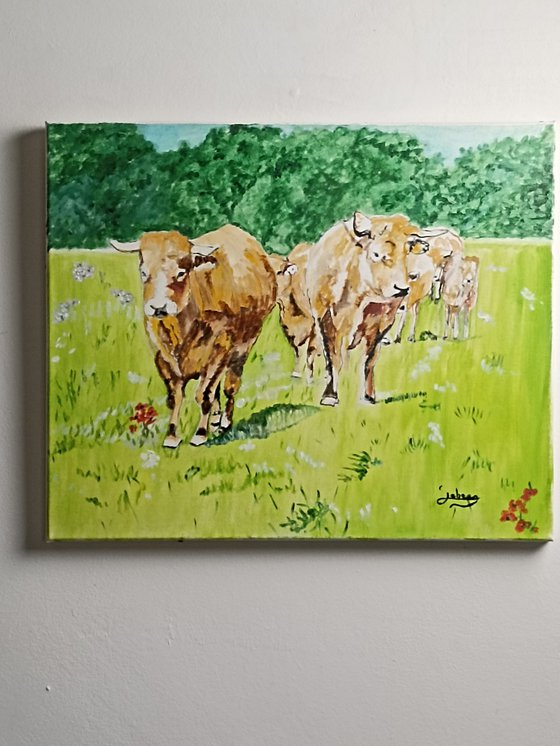 Cows 1