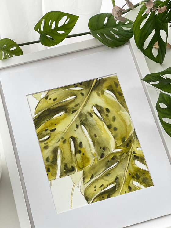 Monstera leaf watercolor paintings 3 set