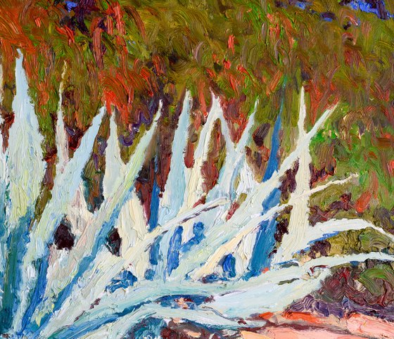 Agaves in the Desert