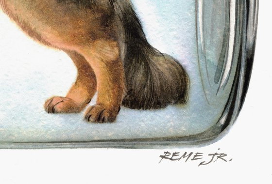 German shepherd in Jar IV