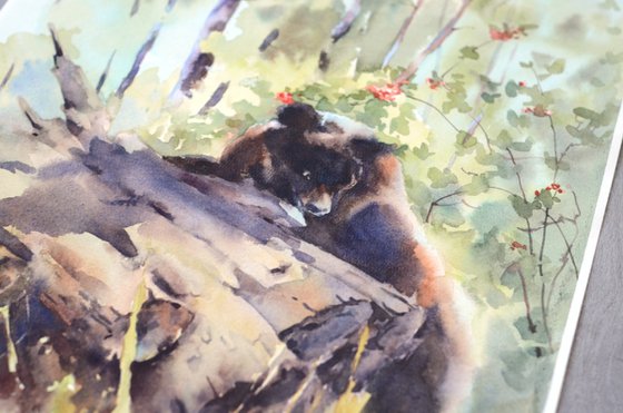 Bear in the forest / Watercolor wild animal