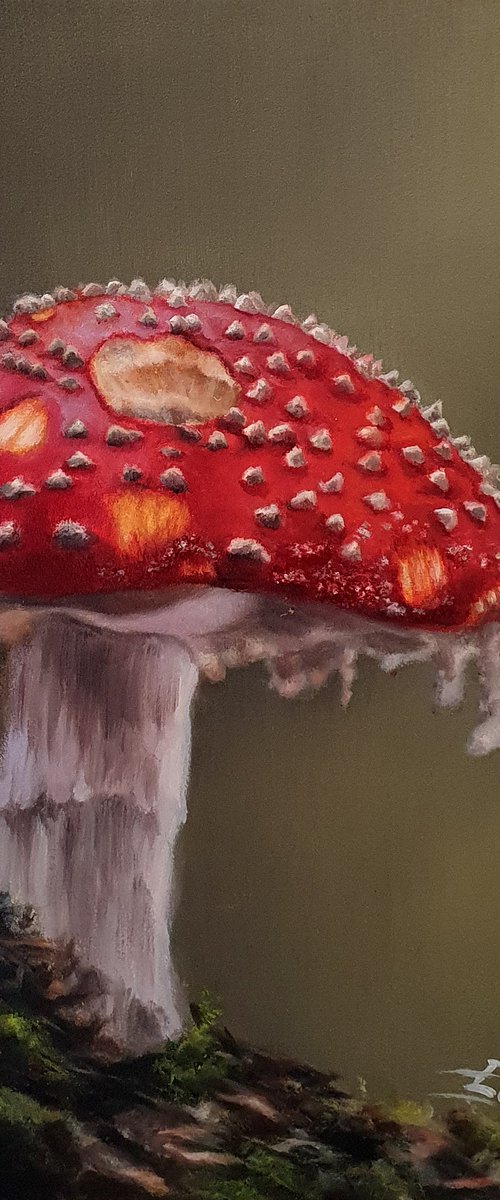 Fly Agaric by Sarah Eden