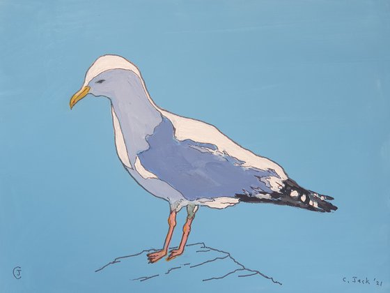 Seagull #2