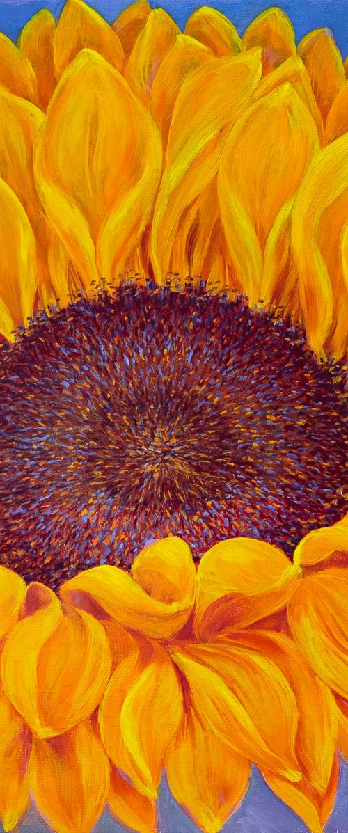 Sunflower.Golden Glow. by Anastasia Woron