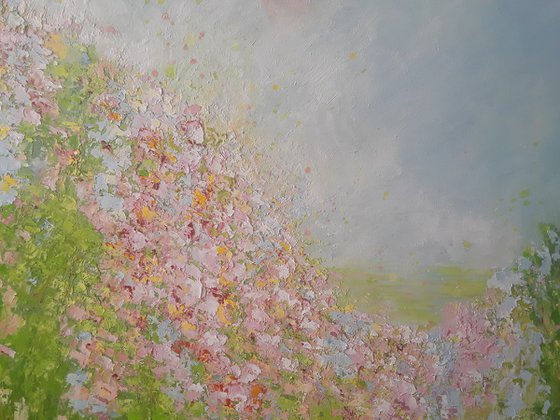 PINK SUMMER MORNING