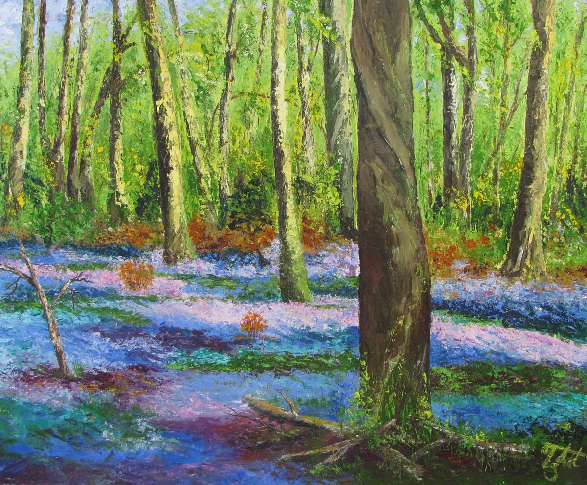 Bluebell Wood South Downs by Christine Gaut