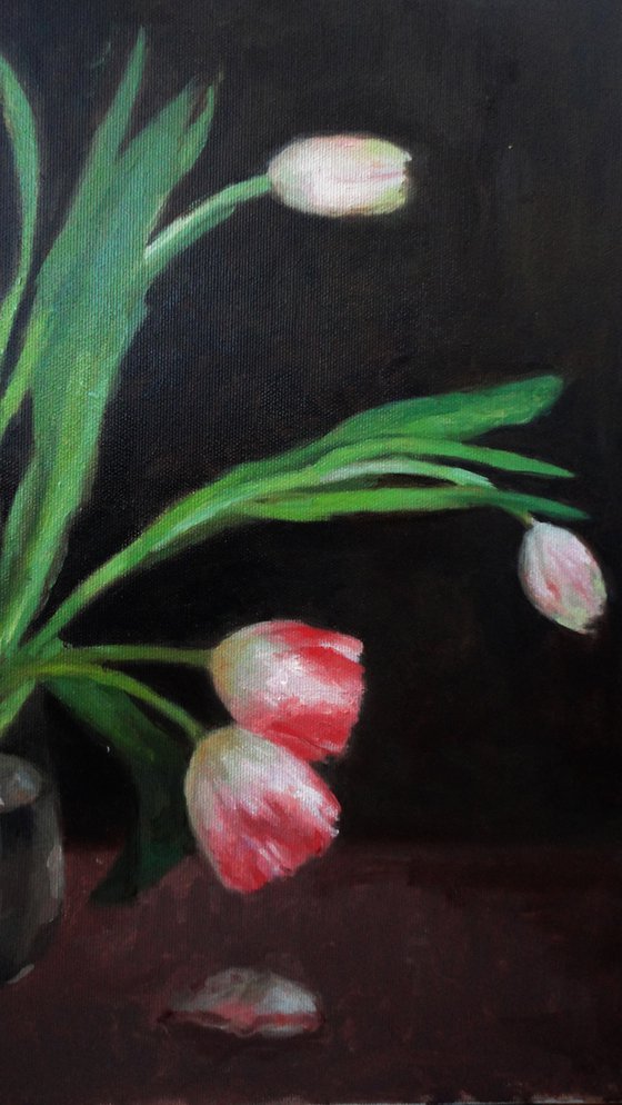 Five Tulips