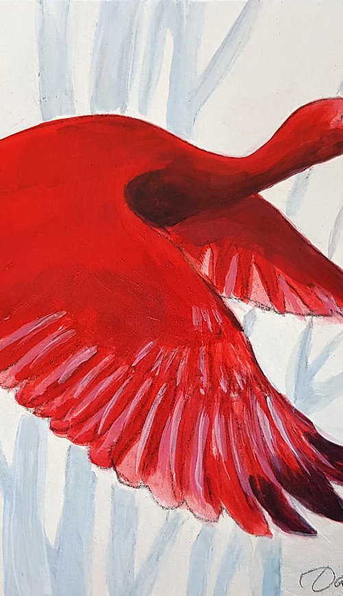 Scarlet Ibis flying by Daria Startseva