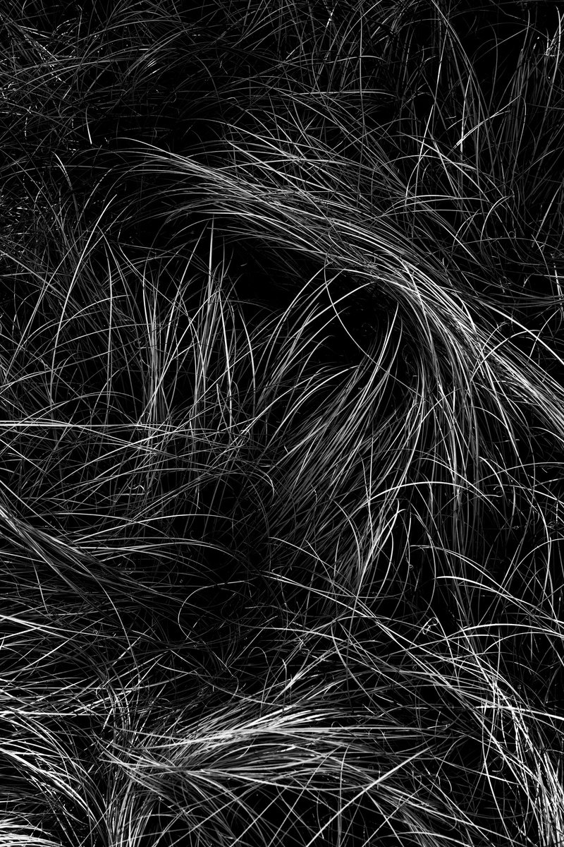 Photorealistic Photograph , Circle Garden By Robert Tolchin, 16 X 20, Artwork For Sale On Artfinder