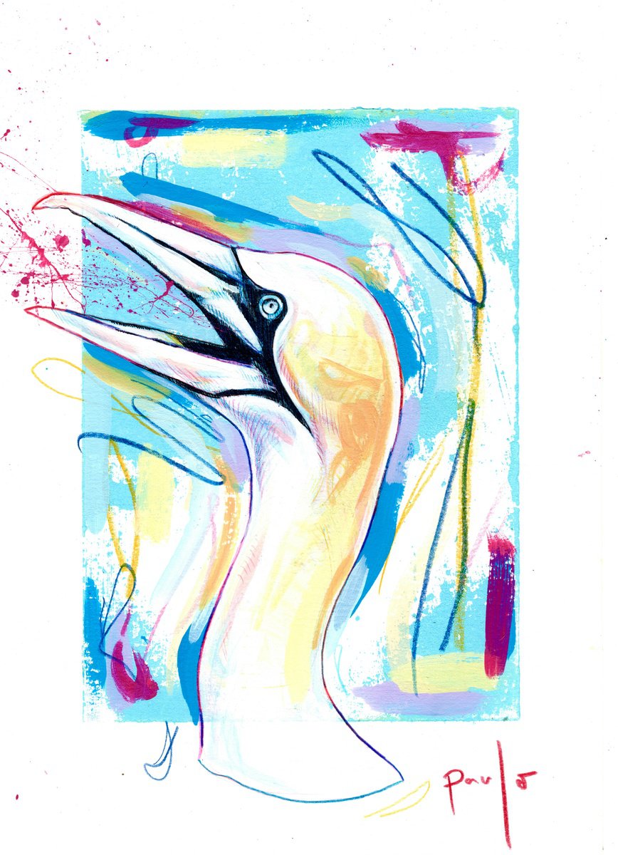 Illustrative Animal Acrylic Painting By Paul Ward, 8 X 12", Northern Gannet, Original Artwork